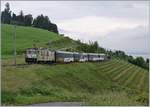 Die MOB GDe 4/4 6006 ist mit ihrem GoldePass Panormic Express auf der Fahrt von Montreux nach Zweisimmen kurz vor Planchamp unterwegs.