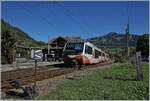 Seit 2017 sind die Montreux-Oberland Bernoise Railway und die Nankai Electric Railway  Sister Railways, was immer dies auch bedeuten mag, neben Aufklebern auf Alpina Triebwagen und einem grossen