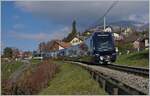 GPX - Goldenpass Express ein Traum in endlich in Erfüllung gegangen Umsteigefrei kann man nun von Montreux nach Interlaken Ost reisen.