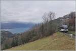 Ein trüber Blick von Les Avants aus über den Genfer See und den ankommenden ABeh 2/6 7503  Blonay Chamby , der in Les Avant wendet und nach Montreux zurück fahren wird.

6. Jan. 2024