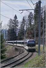 mob-goldenpass/863586/der-mob-regionalzug-von-zweisimmen-nach Der MOB Regionalzug von Zweisimmen nach Montreux hat die 93 Meter langen Pont Gardiol über den Bois des Chenaux hinter sich gelassen und wird in Kürze Sendy-Sollard erreichen, wo ein Bedarfshalt besteht, der jedoch kaum genutzt wird.  


22. März 2024