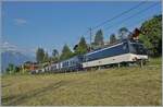Des öfteren habe ich bereits angedeutet, dass  meine  gern genutzten MOB Fotostellen in der näheren Umgebung sich infolge Gegenlicht kaum für den GoldenPass Express eignen.