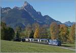 Die MOB Ge 4/4 8001 ist zwischen Schönried und Gruben mit dem MOB/BLS GoldenPass Express 4065 auf dem Weg von Interlaken Ost nach Montreux, wobei die Schmalspurlok den Zug im Umspurbahnhof Zweisimmen übernommen hat.

13. Okt. 2025