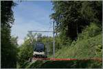 Ebenfalls interessant, finde ich bei Kilometer 8.2 die Kurve mit der windschiefen Fahrleitung; im Bild der MOB Be 4/4 9204 mit ihrem PE 30 auf dem Weg von Montreux nach Zweisimmen. 

2. Mai 2026