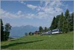Kurz vor Les Avants ist die MOB Ge 4/4 8002 mit ihrem GoldenPass Panoramic Express von Montreux nach Interlaken Ost auf der Fahrt nach Zweisimmen. Dieses Bild zeigt im Gegensatz zum vorhergehenden etwas mehr Zug aber weniger Landschaft.

15. Juni 2025