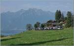 Vor Les Avants ist die MOB Ge 4/4 8002 mit ihrem GoldenPass Panoramic Express von Montreux nach Interlaken Ost auf der Fahrt nach Zweisimmen. 

15. Juni 2025