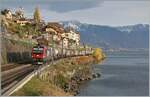 Die letzten bunten Blätter baumeln noch an Sträuchern und Bäumen, der erste Schnee verzuckert die Berge - es ist Herbst; und dieser bietet ein Licht, wie es sonst das ganze Jahre nicht zu sehen ist. Grund genug, trotz kalter Bise, zu fotografieren: Bei St-Saphorin fährt die an SBB Cargo vermietete 193 060 mit einem Güterzug in Richtung Lausanne. 12. November 2024