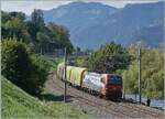 Die von SBB Cargo International angemietete 193 467 ist mit dem Novellis Zug von Sierre nach G�ttingen bei Villeneuve unterwegs. 

2. Sept. 2026