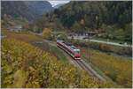 Das enge Tal weitet sich bei Bovernier etwas, so dass an den steilen Hänge sogar Wein angepflanzt werden kann. Ein TMR Region Alpes RABe 525 ist von Le Châble nach Martigny unterwegs und wird in Kürze Bovernier erreichen. 

5. November 2020