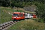 Der TMR BDeh 4/8 21 ist zwischen Salvan und Les Mar�cottes auf dem Weg von Martingy nach Vallorcine.

 11. Juli 2026