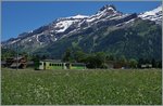 Vor hohen Bergen, inmitten grüner Wiesen fährt ein ASD Regionalzug kurz nach Les Diablerets Richtung Aigle. 
22. Juni 2016