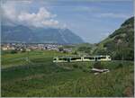 Mit grossen Schleifen führt das Trasse der ADS oberhalb von Aigle durch die Weinberge und gewinnt damit die nötige Höhe.