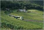 tpc-al-asd-aomc-und-bvb/857320/mit-grossen-schleifen-fuehrt-das-trasse Mit grossen Schleifen führt das Trasse der ADS oberhalb von Aigle durch die Weinberge und gewinnt damit die nötige Höhe. Im Bild der neue ABe 4/8 471 als R71 auf der Fahrt nach Les Diablerets. 

3. August 2024