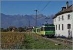 Eingangs Aigle ist der TPC Beh 4/8 auf den Weg zum SBB Bahnhof.