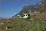 Zwischen der Rhone Ebene und den steil ansteigenden Bergen ist nicht sehr viel Platz für das Anpflanzen der Weinreben aber auf einem längeren Streifen von Bex über Ollon und Aigle bis