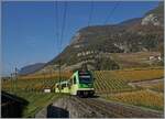 Bei tiefem Sonnenstand erreicht das Licht das Château d'Aigle zu spät, als dass als Hintergrund für Bahnbilder entsprechend ausgeleuchtet wird und so musste ich mich für diese