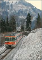 Ein GFM Regionalzug im kalten, schattigen Tal zwischen Gruyre und Montbovon. 
23. Jan. 2011
