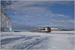 Zwischen Sales und Vaulruz konnte in einer herrlichen Winterlandschaft dieser SBB RBDe 560 Domino fotografiert werden.