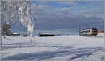 Zwischen Sales und Vaulruz konnte in einer herrlichen Winterlandschaft dieser SBB RBDe 560 Domino fotografiert werden.