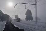 Nebel Sonne und die verschneite Landschaft sorgen bei Semsales für eine eingwillige Ambinete. 

22. Dez. 2021