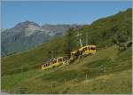 Ein WAB Regionalzug auf der Fahrt Richtung Kleine Scheidegg.
Unbersehbar, auch im Sommer, das Jungfraugebiet ist eine grosse Skiregion.
21. Aug. 2013