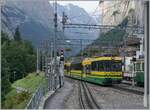 Der WAB Bhe 4/8 Pano 146 erreicht von der Kleinen Scheidegg kommend sein Ziel Lauterbrunnen.