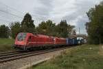 541 015 und 541 017 mit einem Containerzug am 22.