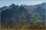 Der  goldene Oktober  auf dem Rinderberg mit Blick �ber die Berner Alpen.