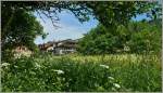 Fr�hlingswiese in Blonay  (20.05.2012)