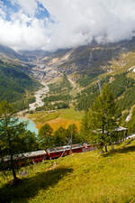Geführt von den beiden RhB ABe 4/4 III Triebwagen 54  Hakone  und  56  Corviglia  fährt der RhB-Regionalzug nach Tirano am 06.09.2021 von Alp Grüm hinab ins Puschlav.