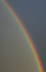 Lange nicht mehr gesehen: die Farben des Regenbogen.