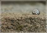 Zur�ckgelassen oder zur�ckgezogen??  (23.04.2012) 
