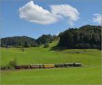 Vorbeifahrt der Eb 3/5 9 der Bodensee-Toggenburg-Bahn mit ihrem wunderbaren Personenzug an Hofschür.